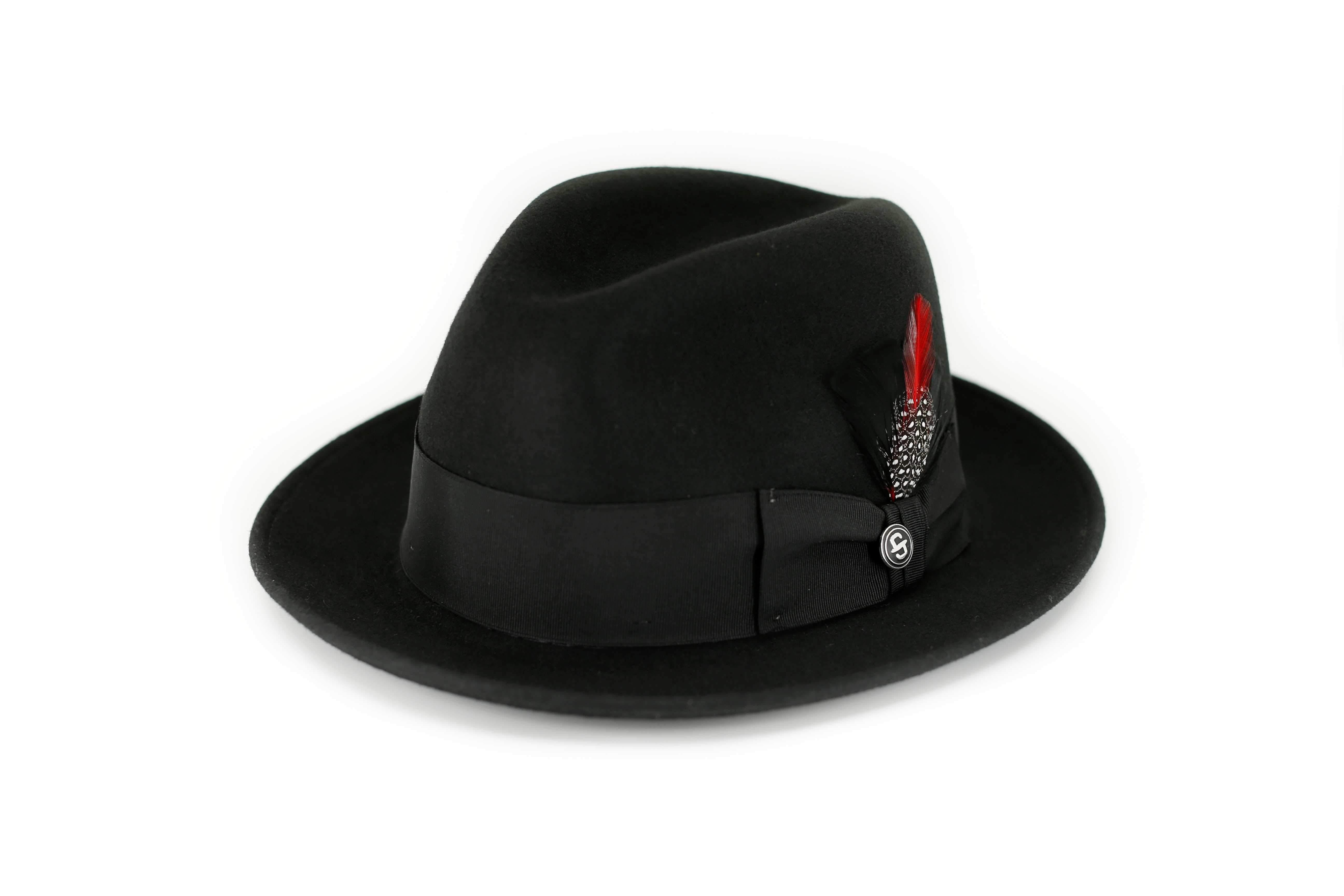 Stetson frederick hot sale fedora