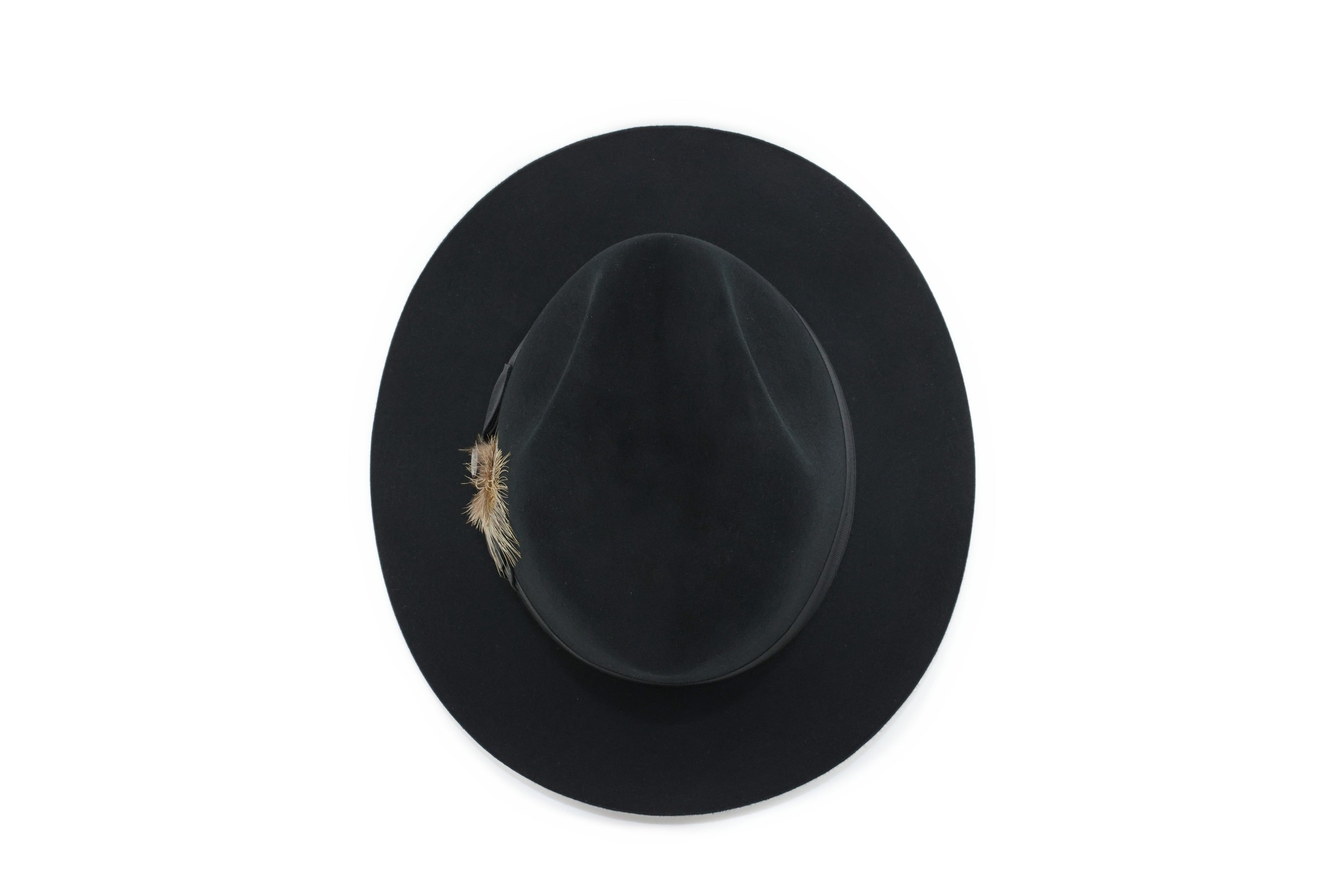 Stetson pinnacle beaver hot sale fur felt fedora